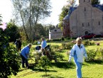 Сиреневый сад в Великом Новгороде